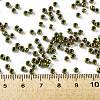 TOHO Round Seed Beads X-SEED-TR08-1702-4