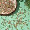 4 Colors 11/0 Christmas TOHO Round Seed Beads SEED-X0058-29-5