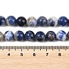 Natural Sodalite Beads Strands G-S279-10-8mm-6