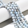 Natural Persian Jade Beads Strands G-A255-A02-02A-2