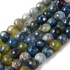 Dyed & Heated Natural Fire Crackle Agate Beads Strands G-P539-B01-02-1