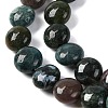 Natural Indian Agate Beads Strands G-T047-A02-02-4