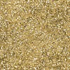 MIYUKI Delica Beads SEED-X0054-DB0042-3
