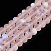 Transparent Glass Beads Strands X-EGLA-A044-T8mm-MB22-1