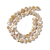 Natural Trochid Shell/Trochus Shell Beads Strands SHEL-F003-08B-3