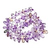 Natural Ametrine Beads Strands G-L649-A09-01-3