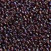 TOHO 8/0 Round Beads X-SEED-TR08-0166B-2