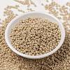 MIYUKI Round Rocailles Beads X-SEED-G008-RR0593-2
