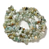 Natural Flower Amazonite Chips Beads Strands G-M205-12-01-3
