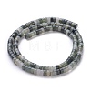 Natural Green Line Jasper Beads Strands G-H230-12-2