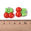 Opaque Resin Pendants RESI-Q232-04A-3