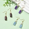 304 Stainless Steel Dangle Earrings EJEW-JE07294-1