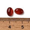 Natural Carnelian Cabochons G-F605E-17B-3