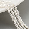 Natural Cultured Freshwater Pearl Beads Strands PEAR-P062-01H-2