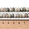 Natural Peace Jade Beads Strands G-A280-A17-02-5
