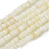 Dyed Natural Freshwater Shell Beads Strands X1-BSHE-G039-07N-1