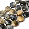Dyed Natural Tiger Eye Beads Strands G-D105-A12-01-2