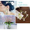  Jewelry 550Pcs 11 Colors Spray Paint ABS Plastic Imitation Pearl Beads MACR-PJ0001-06-19