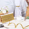 Braided Polyester Lace Ribbons SRIB-DR0001-03A-3