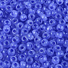 6/0 Transparent Inside Colours Glass Seed Beads SEED-N008-08E-3