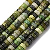 Natural Serpentine Beads Strands G-L624-I16-3x6mm-2