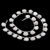 Natural Rainbow Moonstone Beads Strands G-C292-A01-01-3
