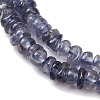 Natural Iolite Beads Strands G-K427-C01-01-4