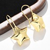 Star Brass Dangle Earrings EJEW-B132-05G-3