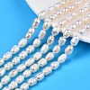 Natural Cultured Freshwater Pearl Beads Strands PEAR-N012-07A-1