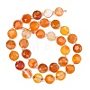 Natural Banded Agate Beads Strands G-C116-A193-01-3