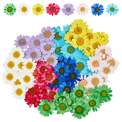 80Pcs 8 Colors Pressed Dried Flowers DIY-HY0001-73-1