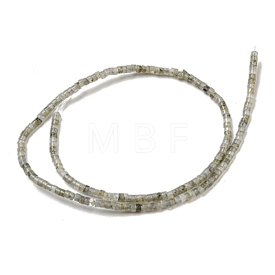 Natural Labradorite Beads Strands G-C084-D13-02-1
