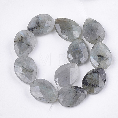 Natural Labradorite Beads Strands X-G-S354-07-1