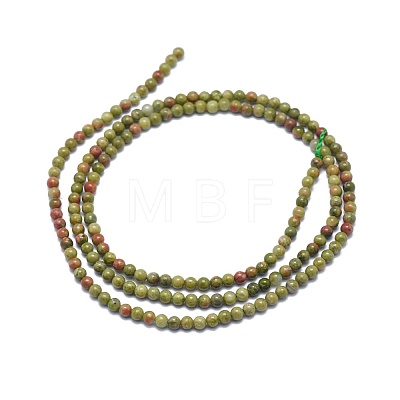 Natural Unakite Beads Strands G-A177-04-04-1