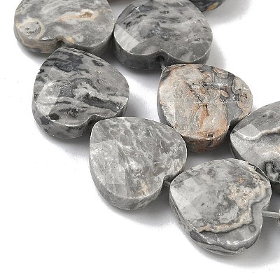 Natural Map Stone Beads Strands G-A309-A17-01-1