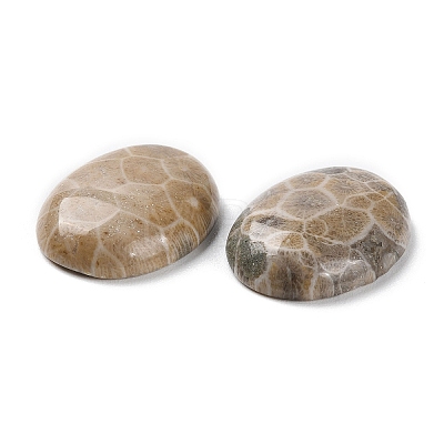 Natural Fossil Coral Cabochons G-J329-20-10x14mm-1