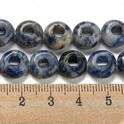 Natural Blue Spot Jasper Beads Strands G-P536-A11-01-1