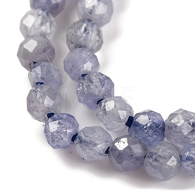Natural Tanzanite Beads Strands X-G-F770-C04-03-1