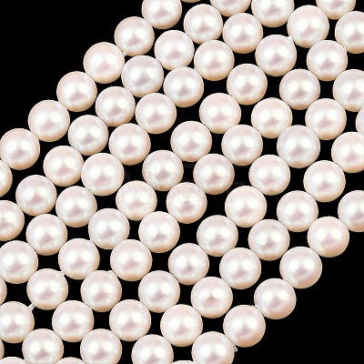 Electroplated Shell Pearl Beads Strands BSHE-C011-01A-1