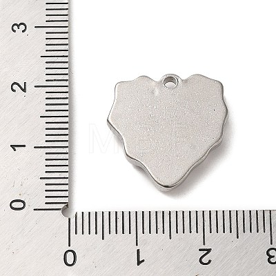 Non-Tarnish 304 Stainless Steel Pendants STAS-R223-19-1