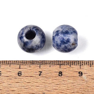 Natural Blue Spot Jasper European Beads G-Q602-09B-07-1