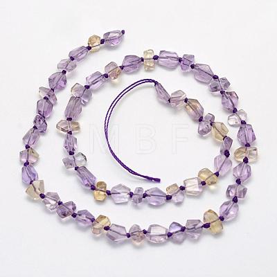 Natural Ametrine Beads Strands G-K202-25-1
