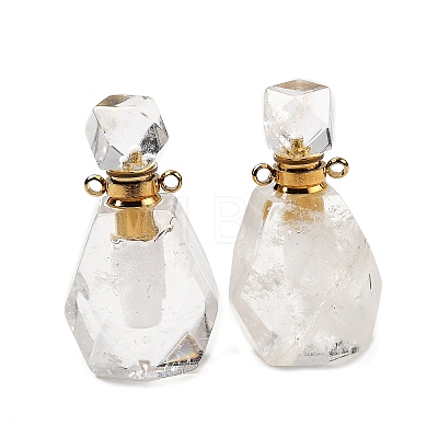 Natural Mixed Gemstone Perfume Bottle Pendants G-B149-02G-1