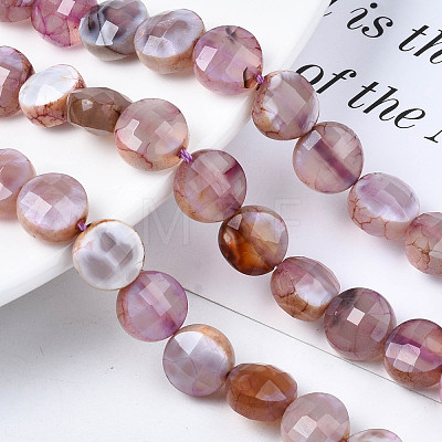 Natural Fire Crackle Agate Beads Strands X-G-S359-372-1
