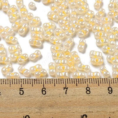 Glass Seed Beads SEED-K009-02B-16-1