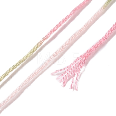 10 Skeins 6-Ply Polyester Embroidery Floss OCOR-K006-A73-1