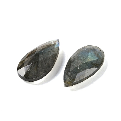 Natural Labradorite Pendants X-G-C140-05J-1