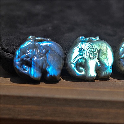 Natural Labradorite Carved Healing Elephant Figurines PW-WG69479-01-1