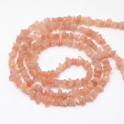 Chips Natural Sunstone Beads Strands G-N0164-54-1