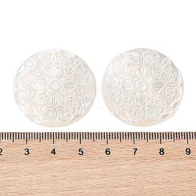 Natural White Shell Cabochons SSHEL-C012-12-1